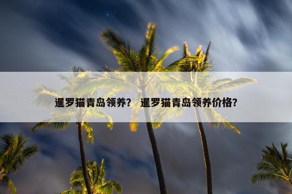 暹罗猫青岛领养？ 暹罗猫青岛领养价格？