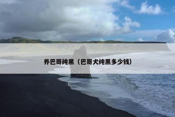 养巴哥纯黑（巴哥犬纯黑多少钱）