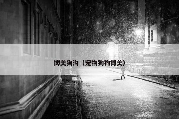 博美狗沟（宠物狗狗博美）