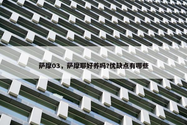 萨摩03，萨摩耶好养吗?优缺点有哪些