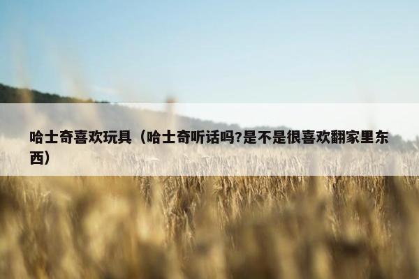 哈士奇喜欢玩具（哈士奇听话吗?是不是很喜欢翻家里东西）