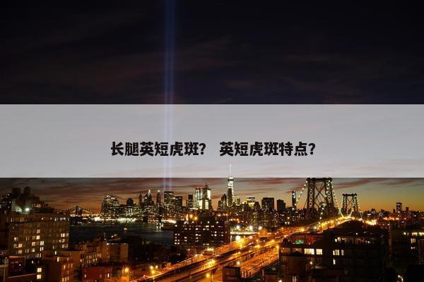 长腿英短虎斑？ 英短虎斑特点？