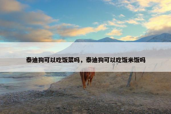 泰迪狗可以吃饭菜吗，泰迪狗可以吃饭米饭吗