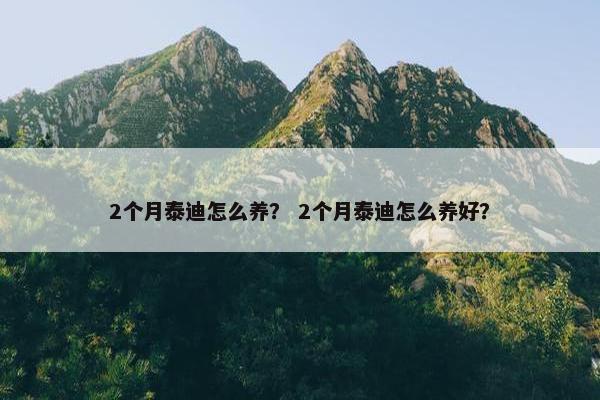 2个月泰迪怎么养？ 2个月泰迪怎么养好？