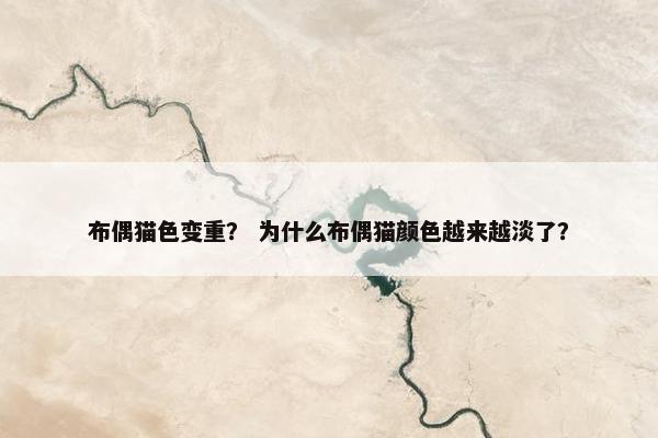 布偶猫色变重？ 为什么布偶猫颜色越来越淡了？