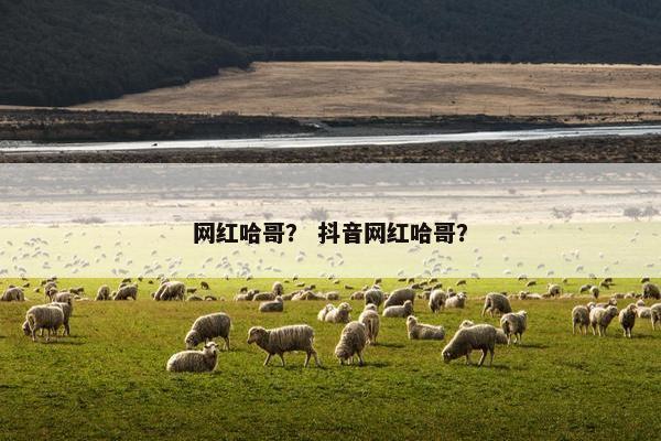 网红哈哥？ 抖音网红哈哥？
