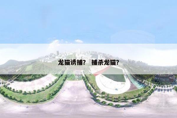 龙猫诱捕？ 捕杀龙猫？