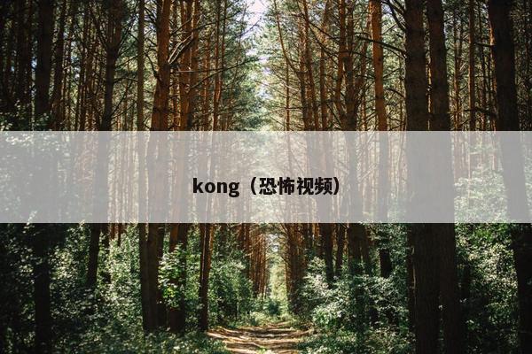 kong（恐怖视频）