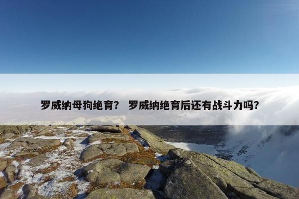 罗威纳母狗绝育？ 罗威纳绝育后还有战斗力吗？
