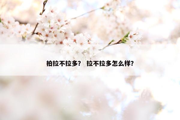 拍拉不拉多？ 拉不拉多怎么样？