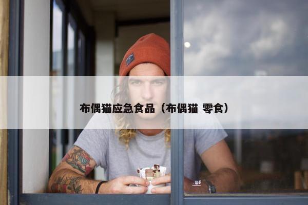 布偶猫应急食品（布偶猫 零食）