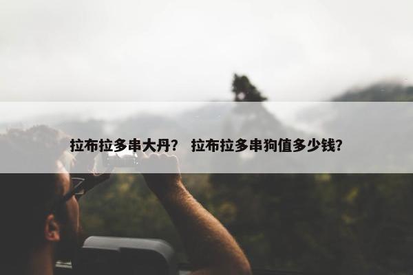 拉布拉多串大丹？ 拉布拉多串狗值多少钱？