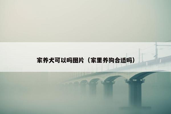 家养犬可以吗图片（家里养狗合适吗）