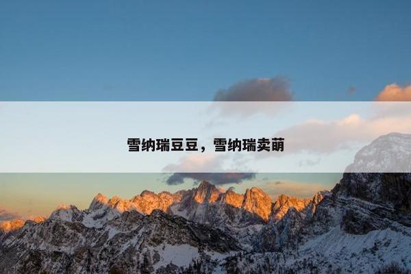 雪纳瑞豆豆，雪纳瑞卖萌
