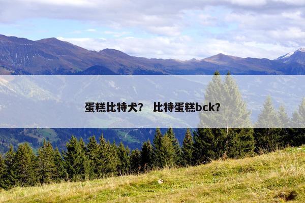 蛋糕比特犬？ 比特蛋糕bck？