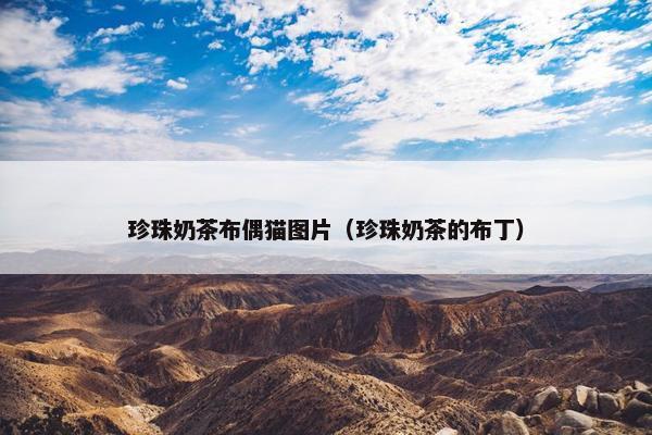 珍珠奶茶布偶猫图片（珍珠奶茶的布丁）