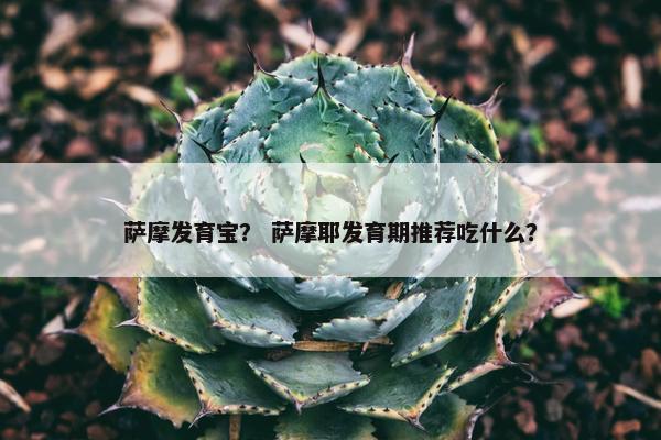萨摩发育宝？ 萨摩耶发育期推荐吃什么？