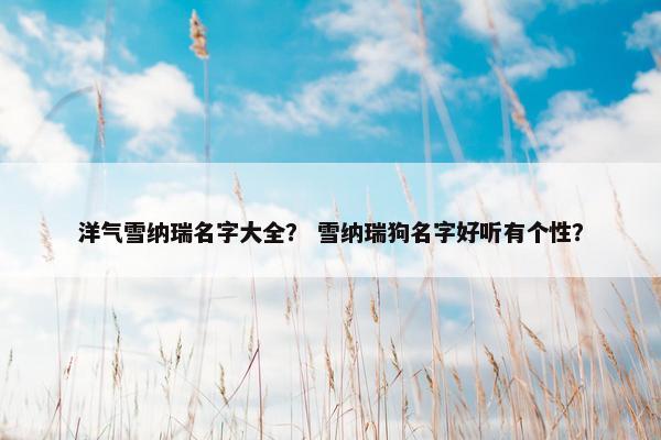 洋气雪纳瑞名字大全？ 雪纳瑞狗名字好听有个性？