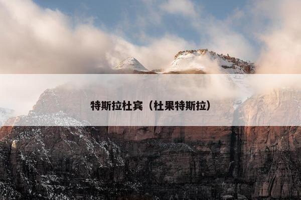 特斯拉杜宾（杜果特斯拉）