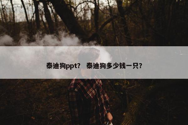 泰迪狗ppt？ 泰迪狗多少钱一只？