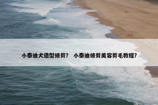 小泰迪犬造型修剪？ 小泰迪修剪美容剪毛教程？