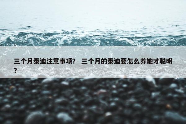 三个月泰迪注意事项？ 三个月的泰迪要怎么养她才聪明？