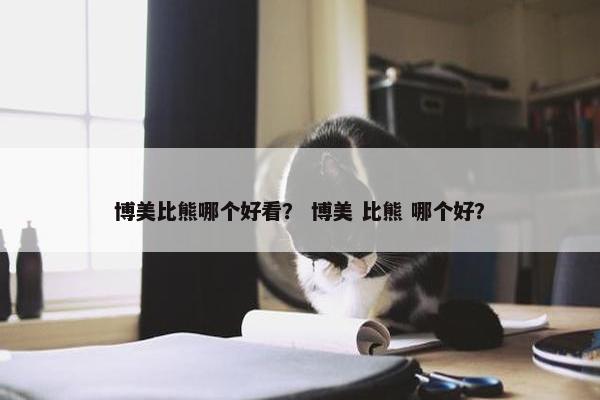 博美比熊哪个好看？ 博美 比熊 哪个好？