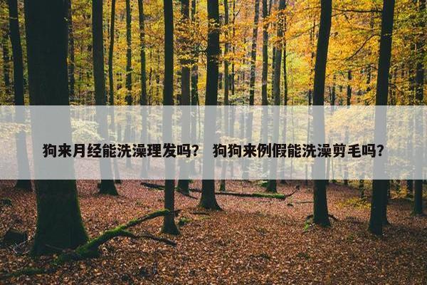 狗来月经能洗澡理发吗？ 狗狗来例假能洗澡剪毛吗？