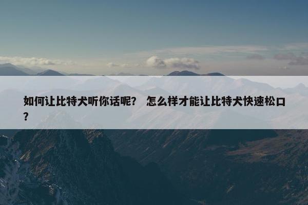 如何让比特犬听你话呢？ 怎么样才能让比特犬快速松口？