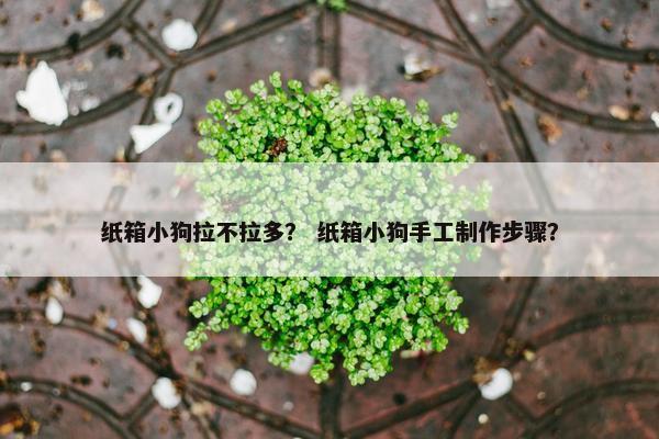 纸箱小狗拉不拉多？ 纸箱小狗手工制作步骤？