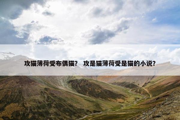 攻猫薄荷受布偶猫？ 攻是猫薄荷受是猫的小说？