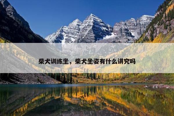 柴犬训练坐，柴犬坐姿有什么讲究吗