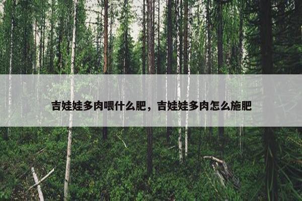 吉娃娃多肉喂什么肥，吉娃娃多肉怎么施肥