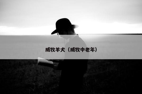 威牧羊犬（威牧中老年）