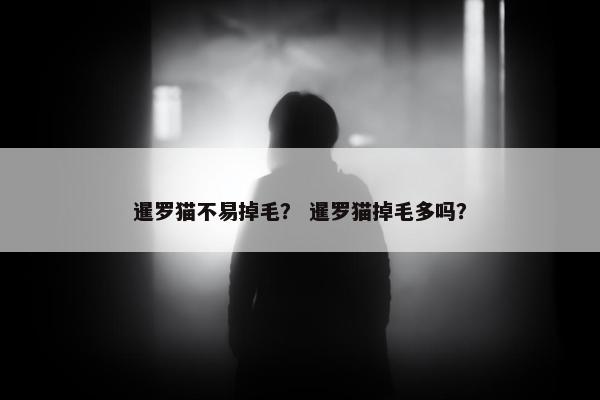 暹罗猫不易掉毛？ 暹罗猫掉毛多吗？