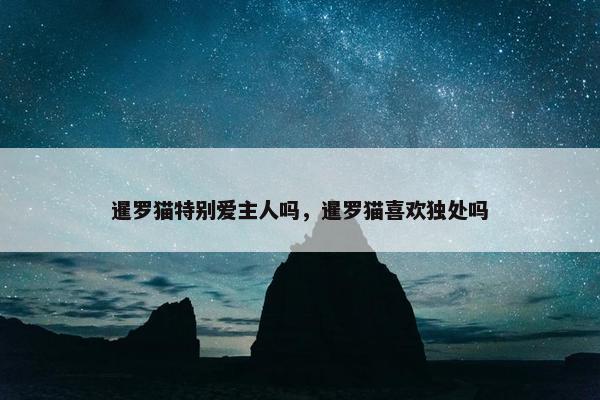 暹罗猫特别爱主人吗，暹罗猫喜欢独处吗
