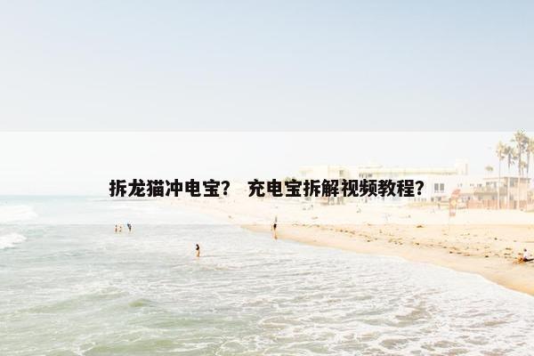拆龙猫冲电宝？ 充电宝拆解视频教程？