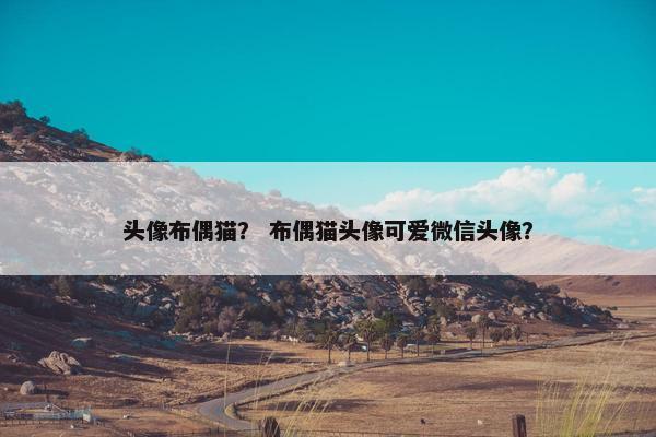 头像布偶猫？ 布偶猫头像可爱微信头像？