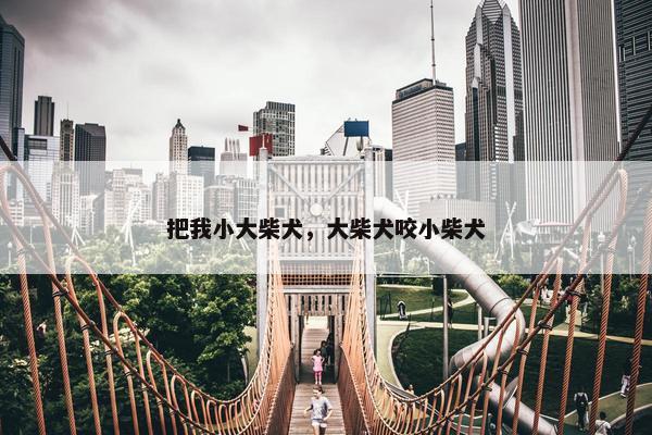把我小大柴犬，大柴犬咬小柴犬