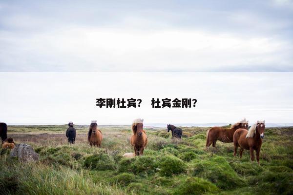 李刚杜宾？ 杜宾金刚？