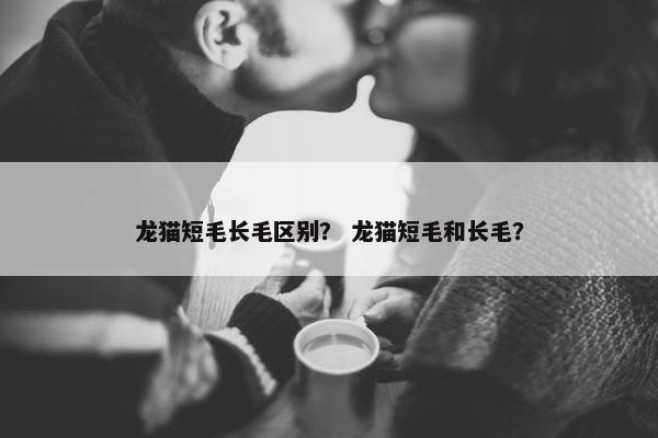 龙猫短毛长毛区别？ 龙猫短毛和长毛？