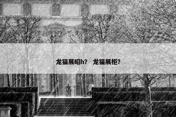 龙猫展昭h？ 龙猫展柜？
