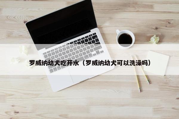 罗威纳幼犬吃开水（罗威纳幼犬可以洗澡吗）