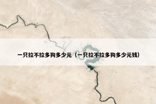 一只拉不拉多狗多少元（一只拉不拉多狗多少元钱）