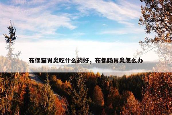 布偶猫胃炎吃什么药好，布偶肠胃炎怎么办