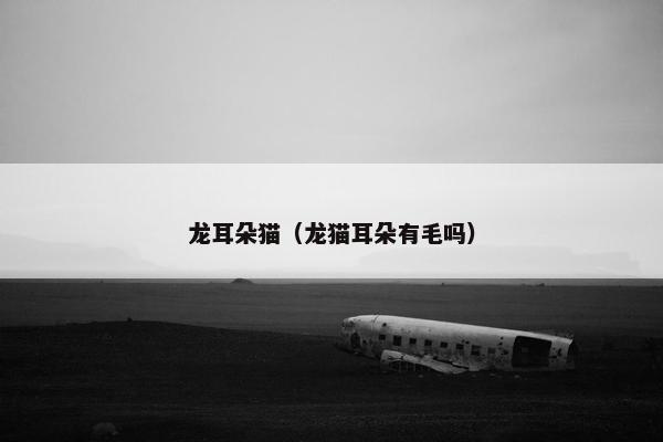 龙耳朵猫（龙猫耳朵有毛吗）