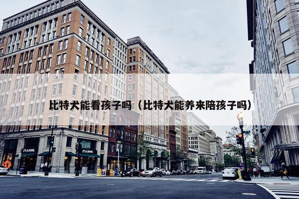 比特犬能看孩子吗（比特犬能养来陪孩子吗）