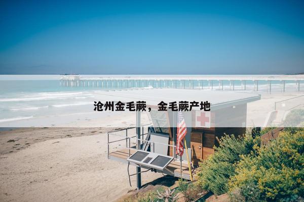 沧州金毛蕨，金毛蕨产地