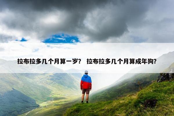 拉布拉多几个月算一岁？ 拉布拉多几个月算成年狗？