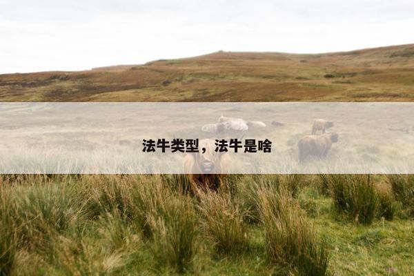 法牛类型，法牛是啥